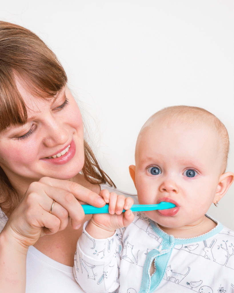 odontopediatria Sequoia Red